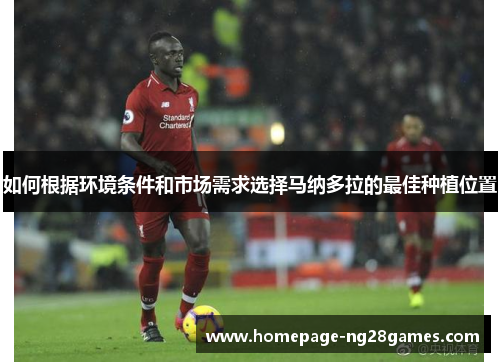 如何根据环境条件和市场需求选择马纳多拉的最佳种植位置 如何根据环境条件和市场需求选择马纳多拉的最佳种植位置