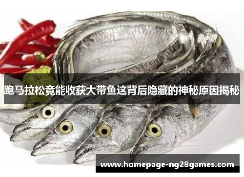跑马拉松竟能收获大带鱼这背后隐藏的神秘原因揭秘 跑马拉松竟能收获大带鱼这背后隐藏的神秘原因揭秘