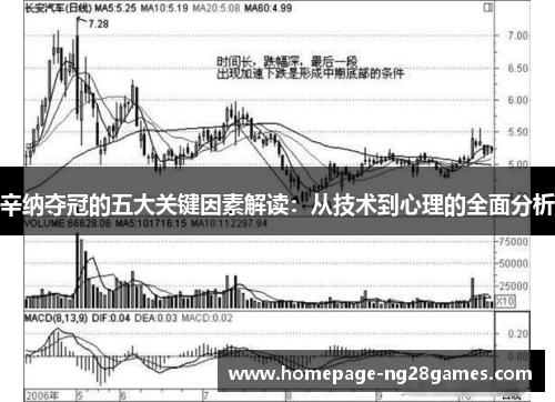 辛纳夺冠的五大关键因素解读:从技术到心理的全面分析 辛纳夺冠的五大关键因素解读:从技术到心理的全面分析