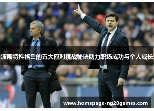 波斯特科格鲁的五大应对挑战秘诀助力职场成功与个人成长