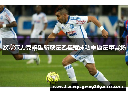欧塞尔力克群雄斩获法乙桂冠成功重返法甲赛场